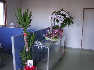 s-061121.jpg